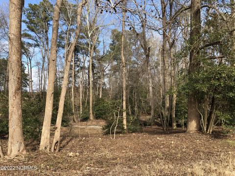 3041 Stallings Rd, Macclesfield, NC 27852 photo 39