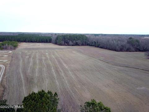 3041 Stallings Rd, Macclesfield, NC 27852 photo 74