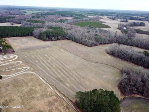 3041 Stallings Rd, Macclesfield, NC 27852 photo 58