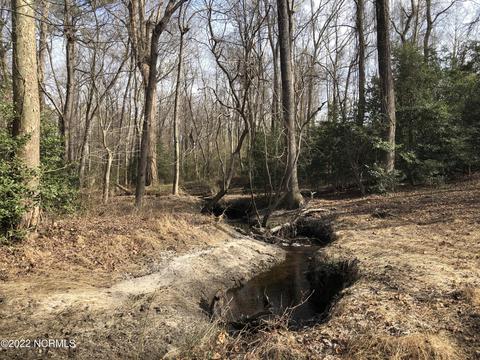 3041 Stallings Rd, Macclesfield, NC 27852 photo 38