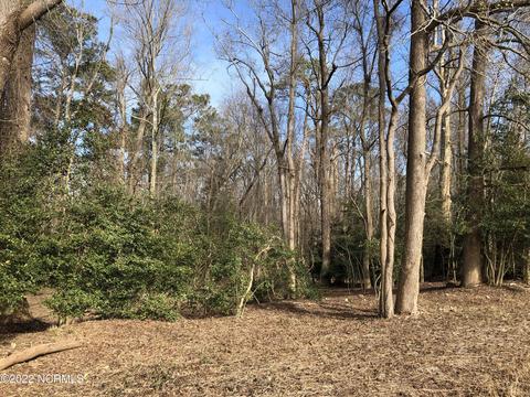 3041 Stallings Rd, Macclesfield, NC 27852 photo 40