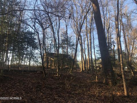 3041 Stallings Rd, Macclesfield, NC 27852 photo 34