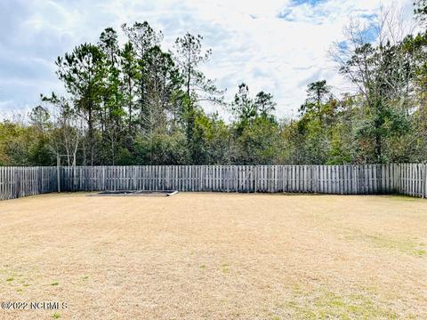 217 Wedgefield Cir, Maple Hill, NC 28454 photo 47