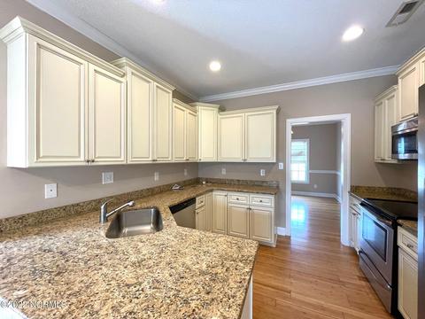 217 Wedgefield Cir, Maple Hill, NC 28454 photo 13
