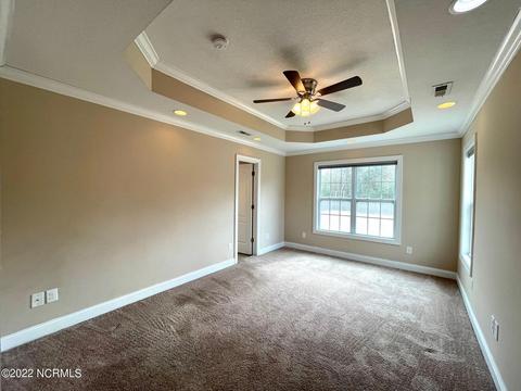 217 Wedgefield Cir, Maple Hill, NC 28454 photo 19