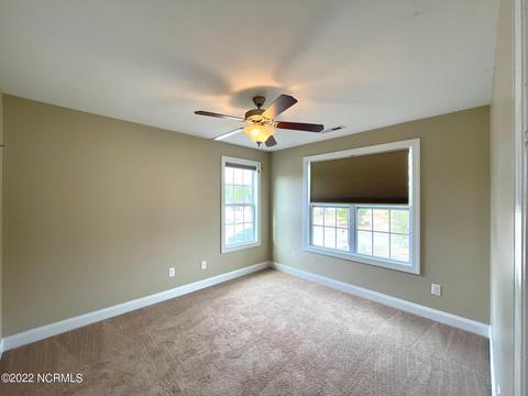 217 Wedgefield Cir, Maple Hill, NC 28454 photo 30