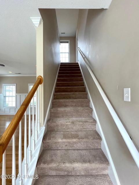 217 Wedgefield Cir, Maple Hill, NC 28454 photo 24