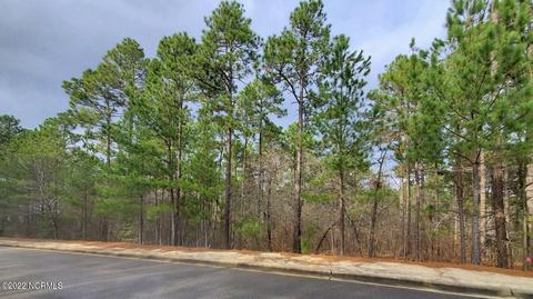 30 Chestertown Dr, Pinehurst, NC 28374 photo 1