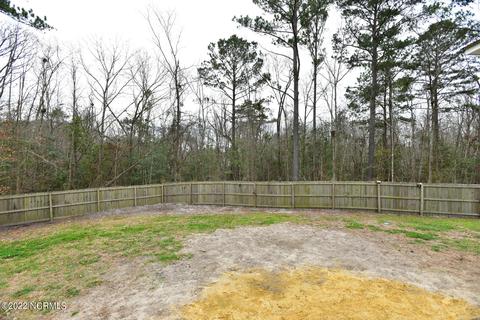 308 S Windy Ridge Rd, Hubert, NC 28539 photo 43