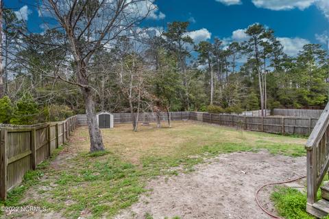 426 Peppermint Dr, Hubert, NC 28539 photo 46