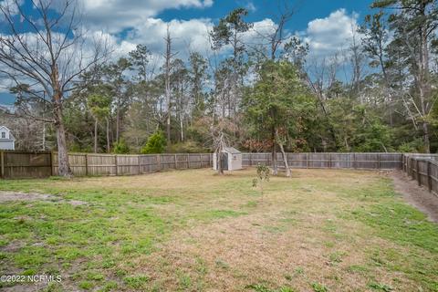 426 Peppermint Dr, Hubert, NC 28539 photo 47