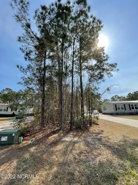 309 Five Aprils Dr, Peletier, NC 28584 photo 2