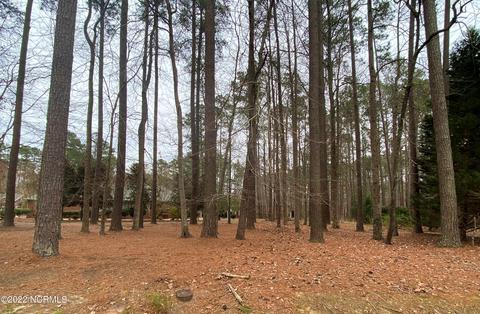 103 Patuxent Pl, Chocowinity, NC 27817 photo 1
