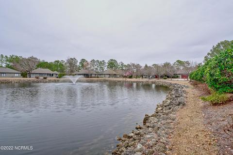 430 Widgeon Dr, Hampstead, NC 28443 photo 30
