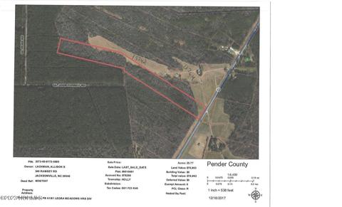 25 77 Acre Nc Hwy 53 E, Burgaw, NC 28425