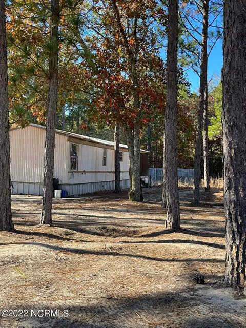 176 Atkinson St, Hamlet, NC 28345 photo 8