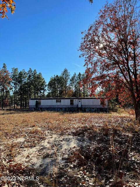 176 Atkinson St, Hamlet, NC 28345 photo 12