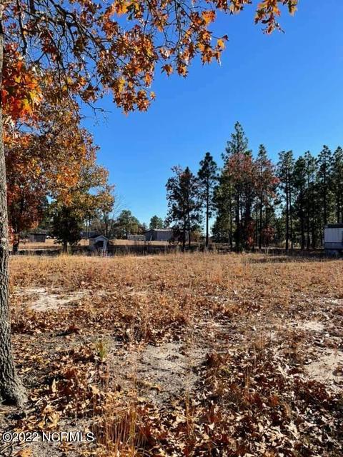 176 Atkinson St, Hamlet, NC 28345 photo 11