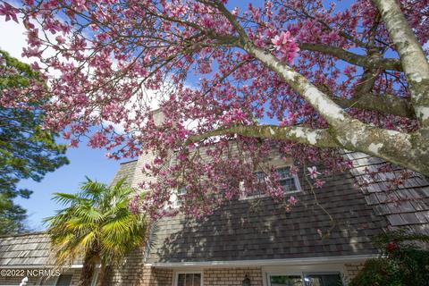 103 Wimbledon Dr, Pinehurst, NC 28374 photo 41