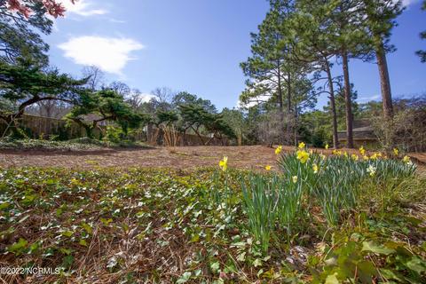 103 Wimbledon Dr, Pinehurst, NC 28374 photo 40