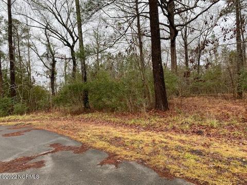 0 Long Point Rd, Chocowinity, NC 27817 photo 2