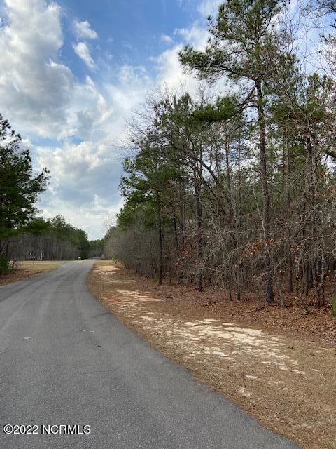 5 Wildlife Ln, Wagram, NC 28396