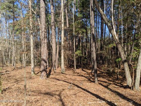19 Middlebury Rd, Pinehurst, NC 28374 photo 6