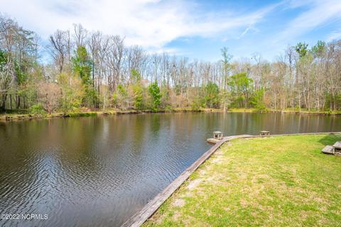 3190 John Fleming Rd, Stokes, NC 27884 photo 46