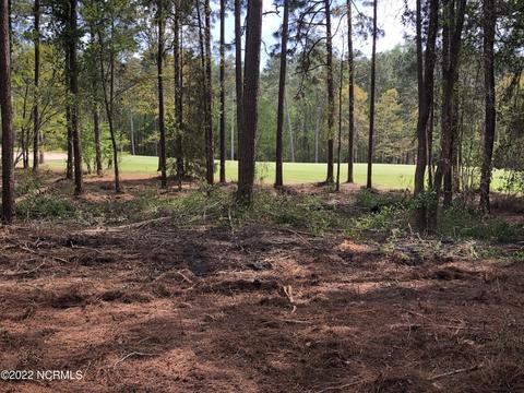 55 Chestertown Dr, Pinehurst, NC 28374 photo 4