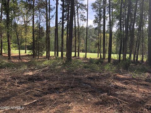 55 Chestertown Dr, Pinehurst, NC 28374 photo 3
