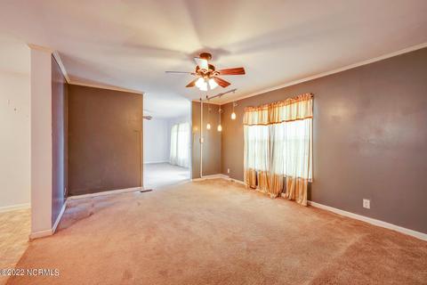 2810 Bailey Rd, Williamston, NC 27892 photo 29