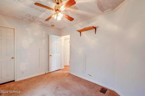 2810 Bailey Rd, Williamston, NC 27892 photo 15