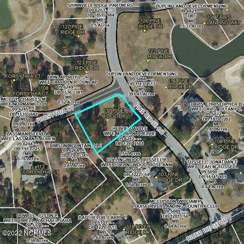 117 Pine Ridge Dr, Wallace, NC 28466 photo 20