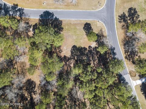 117 Pine Ridge Dr, Wallace, NC 28466 photo 23