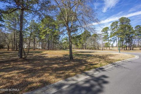 117 Pine Ridge Dr, Wallace, NC 28466 photo 4
