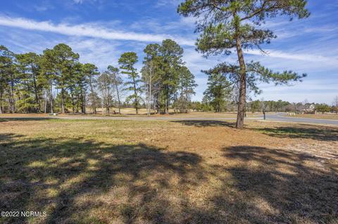 117 Pine Ridge Dr, Wallace, NC 28466 photo 9