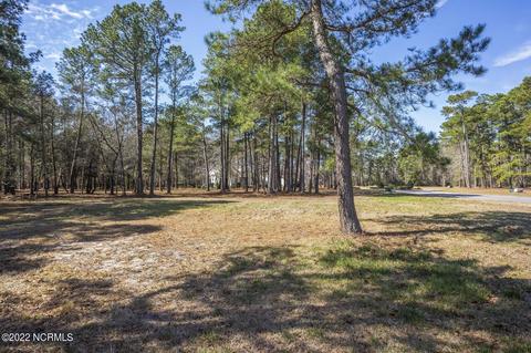 117 Pine Ridge Dr, Wallace, NC 28466 photo 5