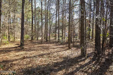 113 Red Pine Ct, Wallace, NC 28466 photo 5