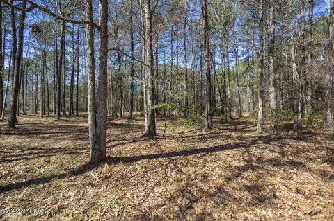 113 Red Pine Ct, Wallace, NC 28466 photo 4