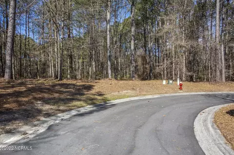 113 Red Pine Ct, Wallace, NC 28466 photo 3