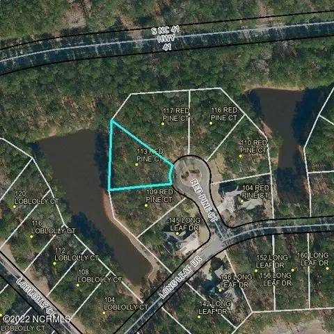 113 Red Pine Ct, Wallace, NC 28466 photo 24