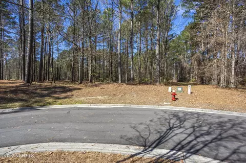 113 Red Pine Ct, Wallace, NC 28466