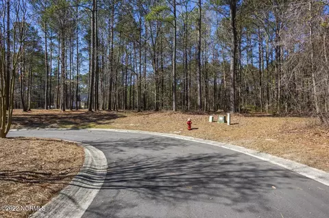 113 Red Pine Ct, Wallace, NC 28466 photo 2