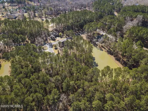 113 Red Pine Ct, Wallace, NC 28466 photo 23