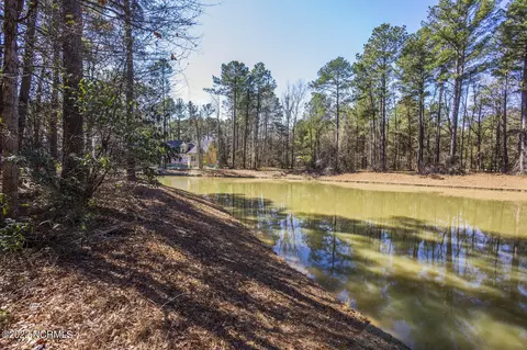 113 Red Pine Ct, Wallace, NC 28466 photo 7