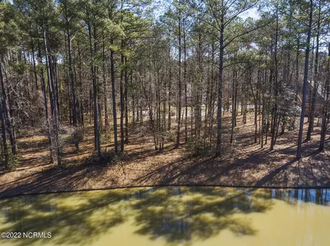 113 Red Pine Ct, Wallace, NC 28466 photo 18