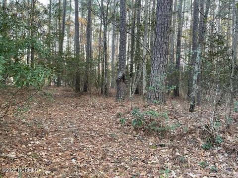 176 Pamlico River Dr, Washington, NC 27889