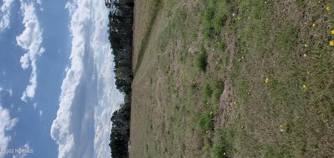 0 Dallas Paul Rd, Belhaven, NC 27810