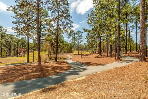 405 Meyer Farm Dr, Pinehurst, NC 28374 photo 47