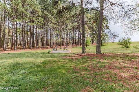 302 Bradshaw-crow Rd, Faison, NC 28341 photo 4